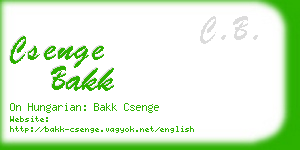 csenge bakk business card